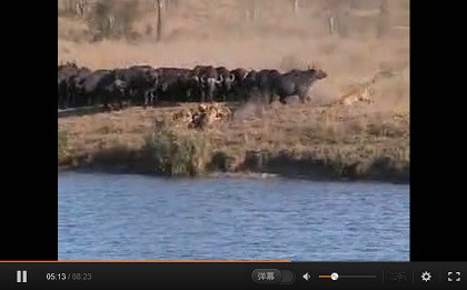 张宏良：当今中国毛派